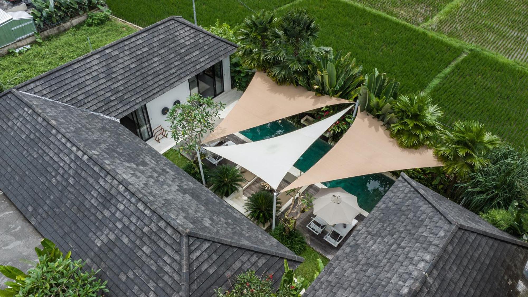 Villa Griya Dedari By Balisuperhost Ubud Zewnętrze zdjęcie